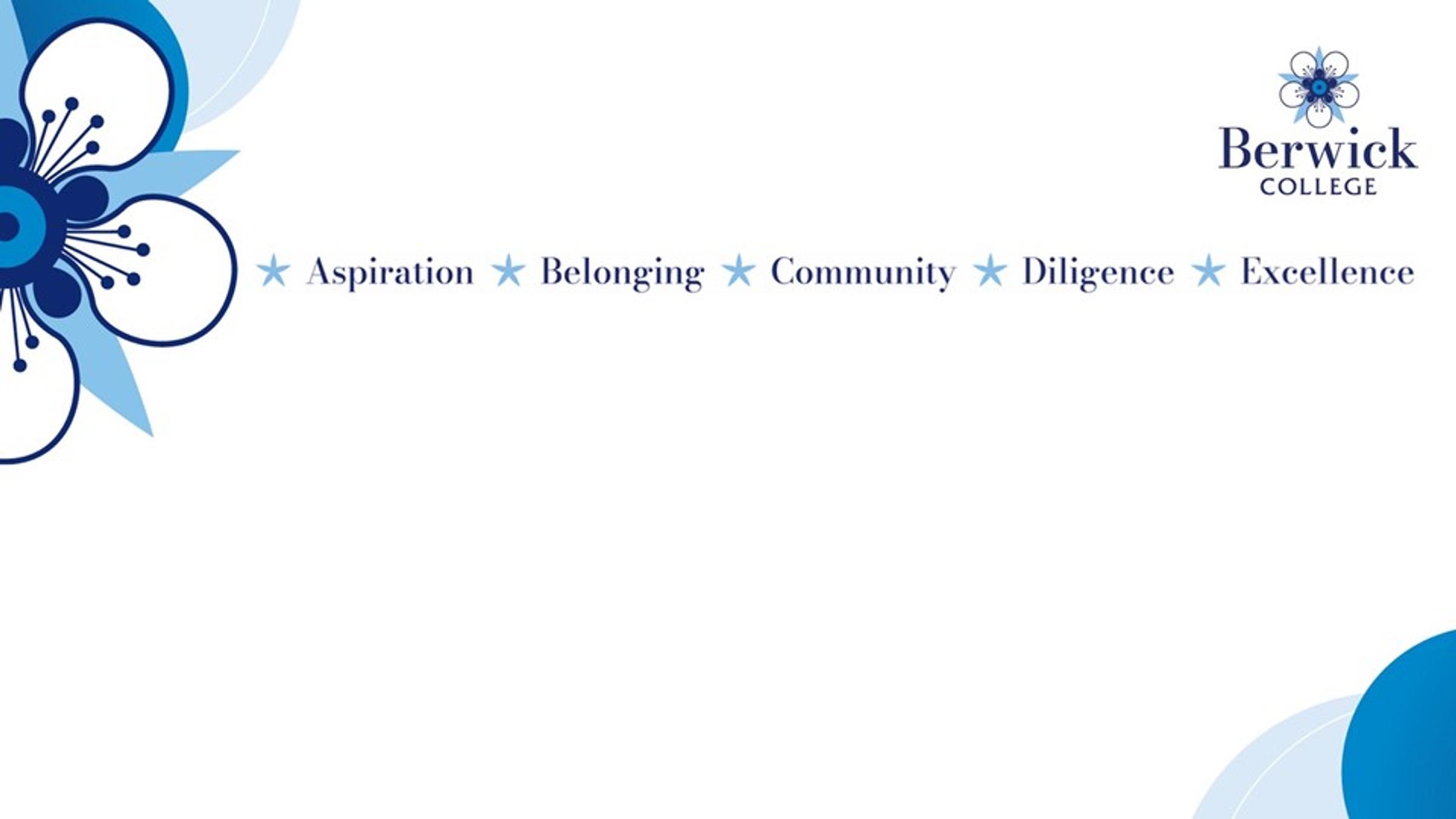 Our Values in Action Banner Photo