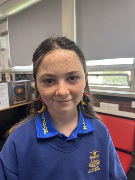 Year 6 Aboriginal Girls Transition  Banner Photo