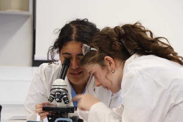 Learning   Banner Photo