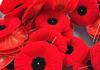 Rememberance Day Poppies  Banner Photo