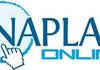 NAPLAN Banner Photo