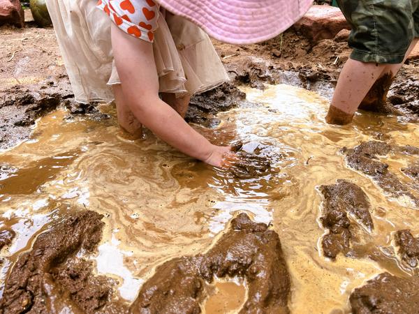 Ruby Saltbush News Banner Photo