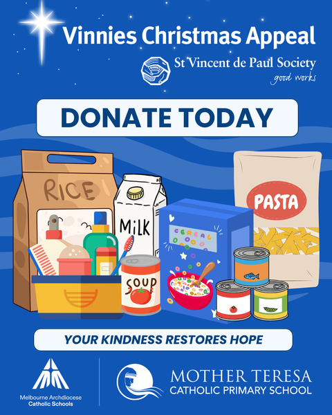 Vinnies Christmas Appeal Banner Photo