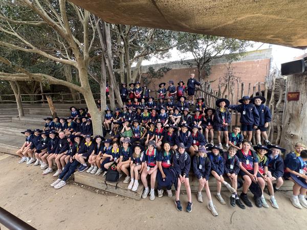 Year 4 Cluster News Banner Photo