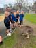 Year 1/2 Fauna Park Excursion Banner Photo