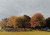 CROSS COUNTRY Banner Photo