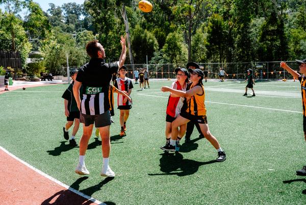 WHAT'S BEEN HAPPENING (1 of 2) Banner Photo