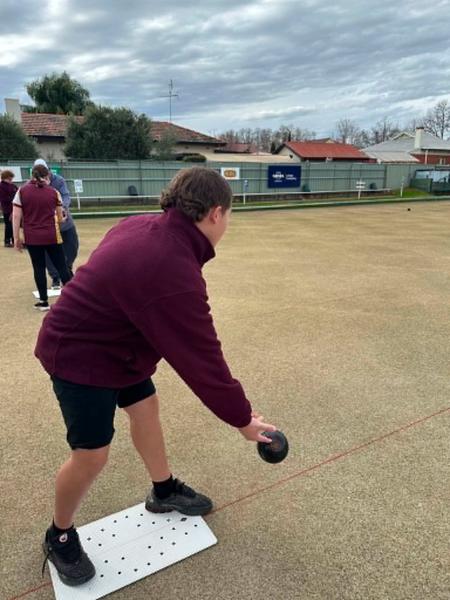 Lawn Bowls Banner Photo