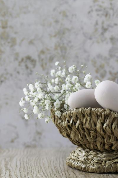 Save the Dates Banner Photo