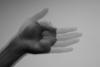 Auslan Banner Photo