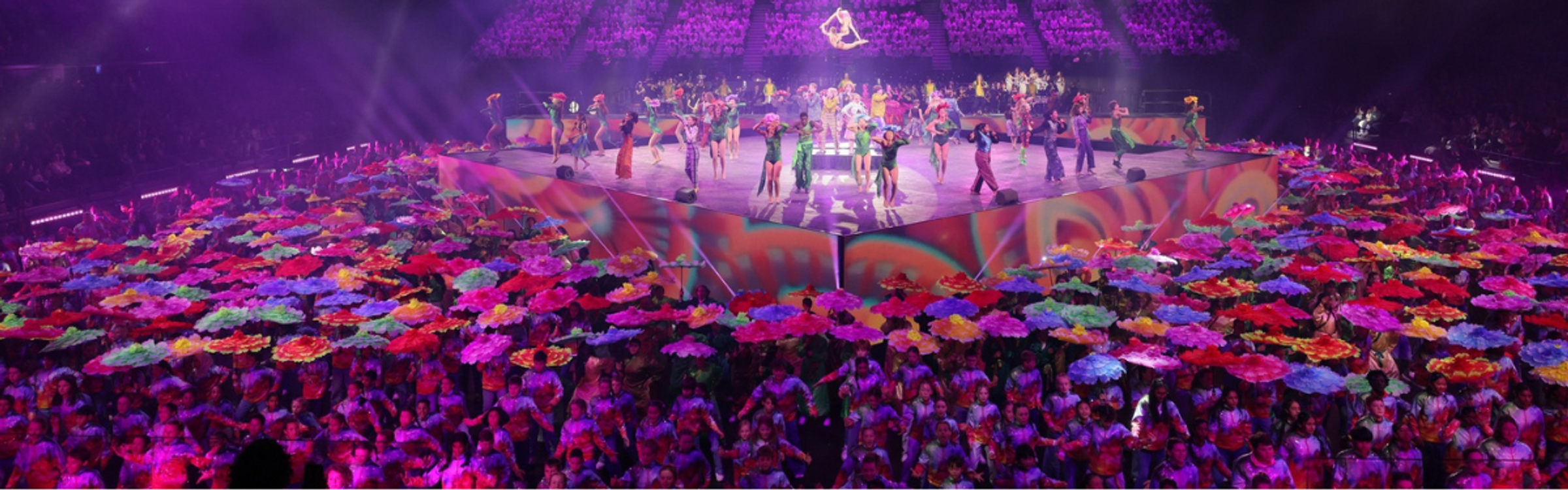 Banner Photo