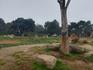 Year 7 Goes to the Zoo  Banner Photo