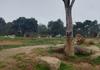 Year 7 Goes to the Zoo Banner Photo