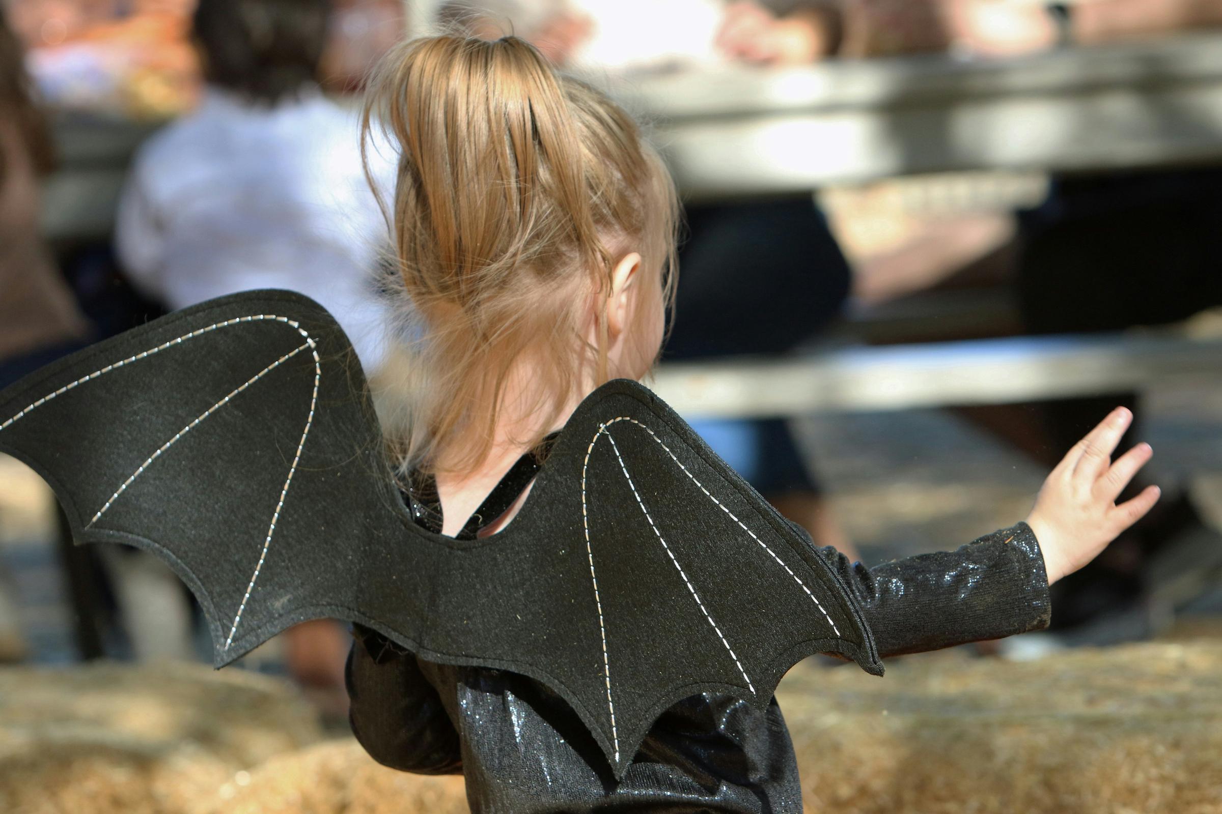 Banner Photo
