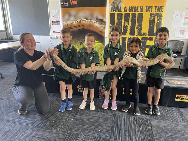 Prep Wild Action Incursion Banner Photo