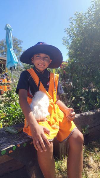 Principal's News  Banner Photo