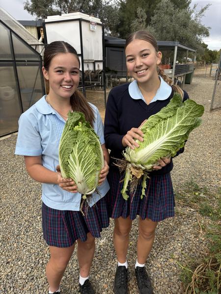 Technology and  Applied Studies Banner Photo