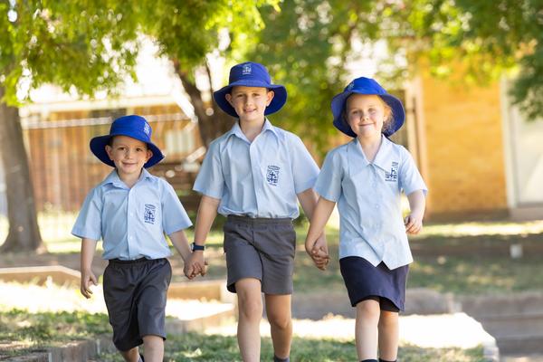 Library Banner Photo