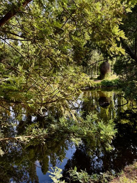 Current News Banner Photo