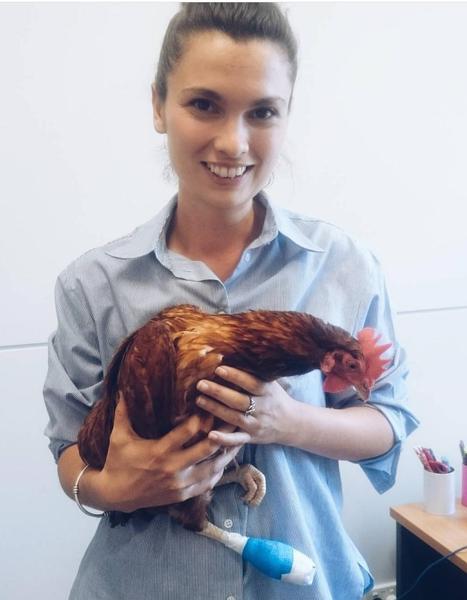 Teacher Feature Banner Photo