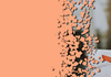 English News Banner Photo