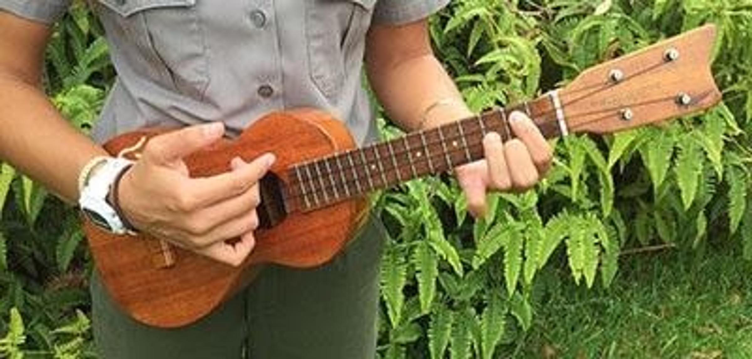 Banner Photo