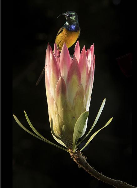 Kindergarten 2021 Banner Photo