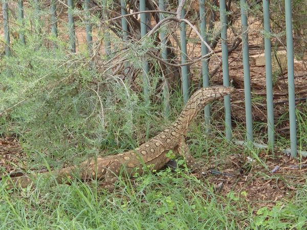 Library News Banner Photo