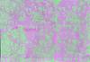 Y 7–9: Printmaking   Banner Photo