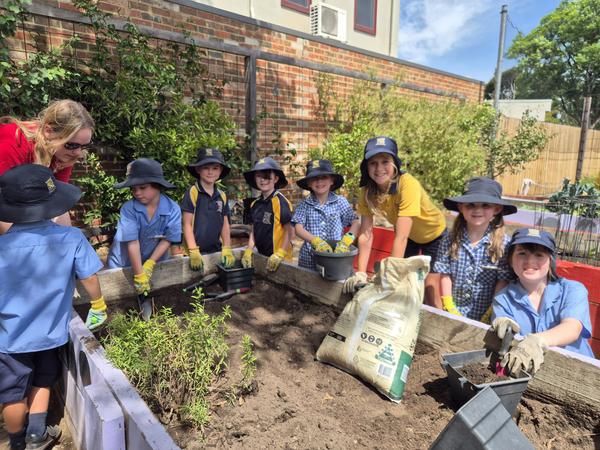 Sustainability Update 🌿 Banner Photo