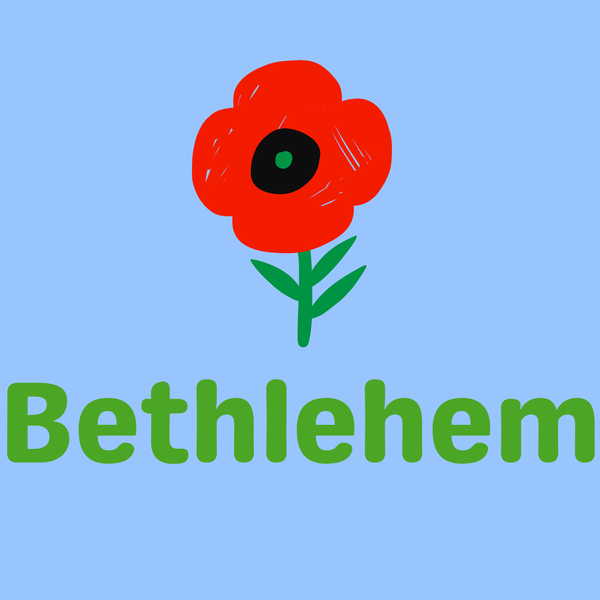 Year Six Spotlight on Learning Banner Photo