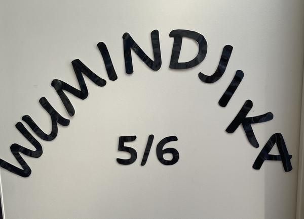 Year Five and Six Banner Photo