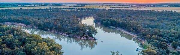 Donatello's habitat  Banner Photo