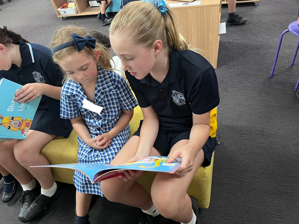 News of the Week Banner Photo