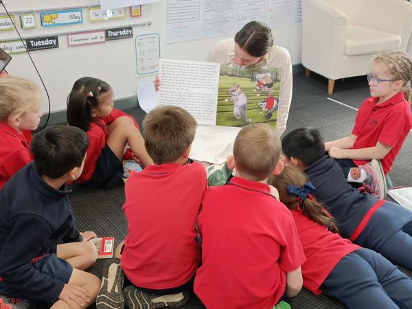 Student Wellbeing & Mental Health Banner Photo