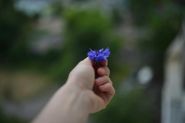 Assistant Principal Wellbeing Banner Photo