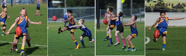 Junior School News & Sport Banner Photo