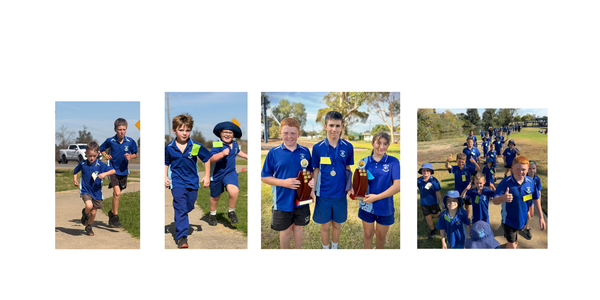 Page 0 Banner Photo