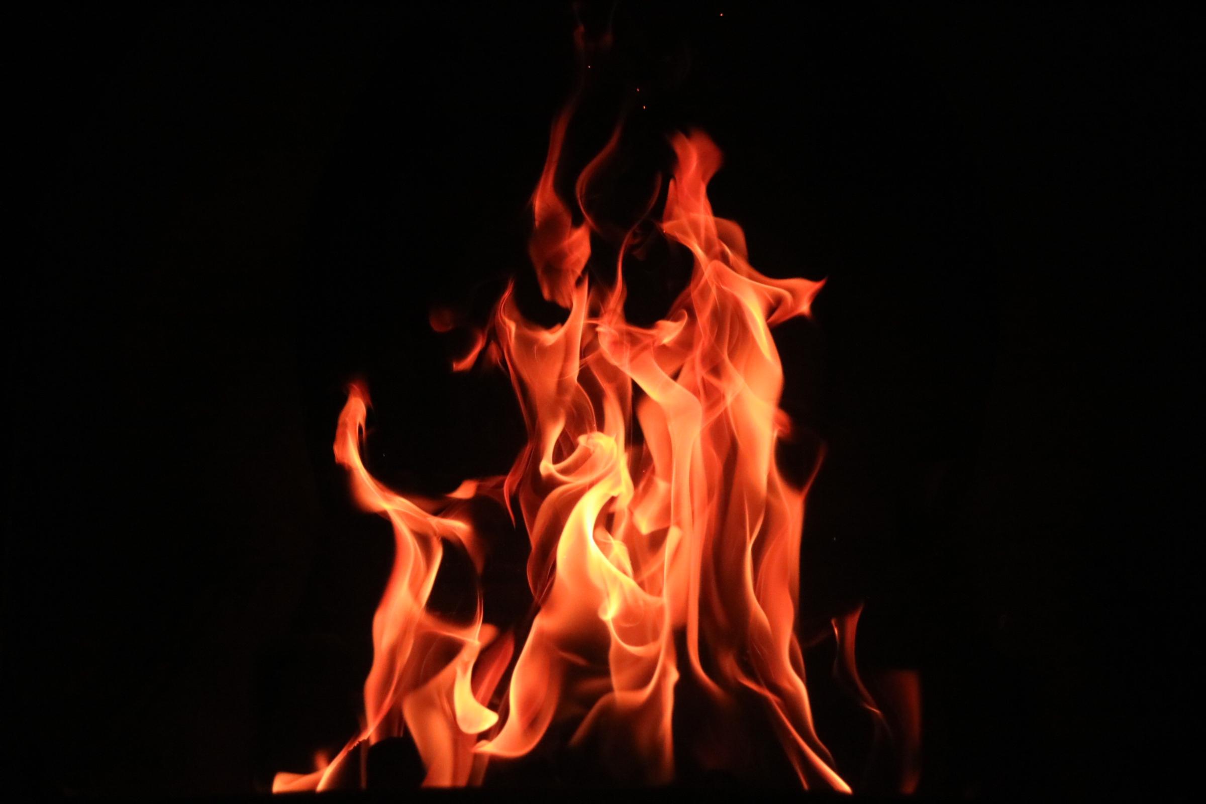 Banner Photo