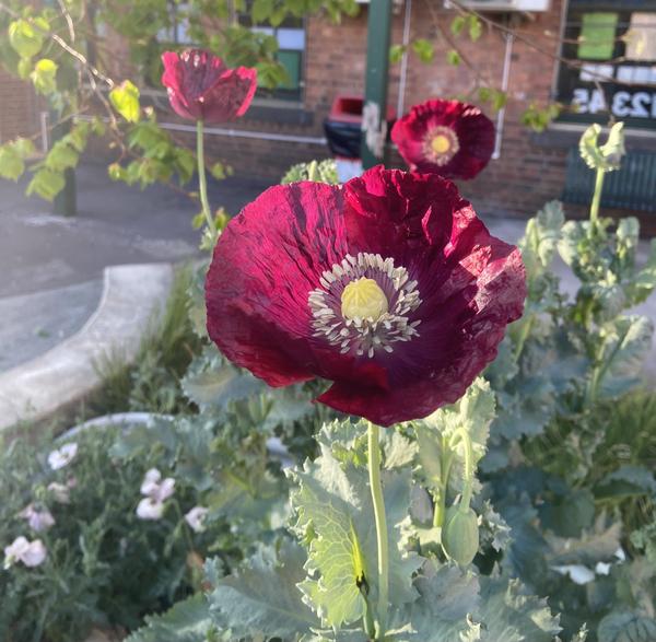 Important Dates Banner Photo