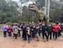 Year 2 Healesville Sanctuary Excursion Banner Photo