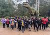Year 2 Healesville Sanctuary Excursion Banner Photo
