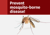 Protecting against mosquito-borne diseases Banner Photo