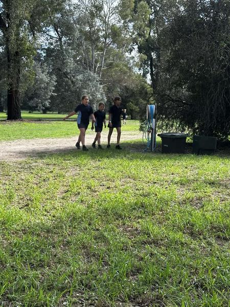 Cross Country Banner Photo