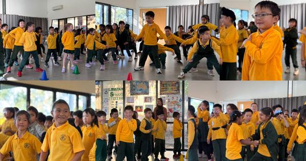 Dance Curriculum Banner Photo