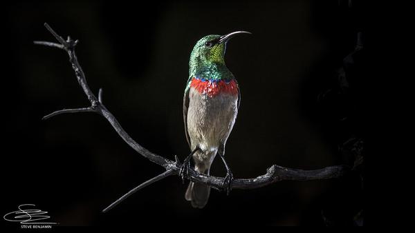 Better Start Program Banner Photo