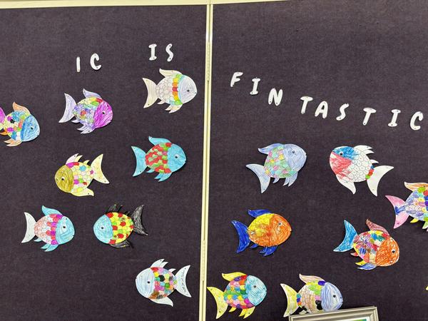 Organisation Banner Photo