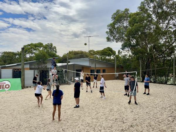 WHAT'S BEEN HAPPENING (1 of 2) Banner Photo