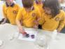 Grade 4 Report Banner Photo