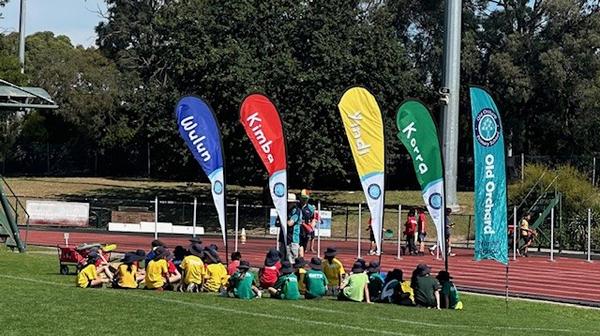 Sport Banner Photo